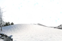 WEBP