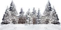 WEBP