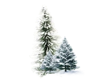 WEBP