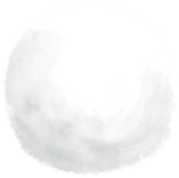 WEBP