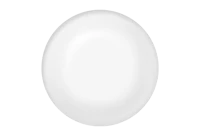 WEBP