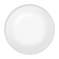 WEBP