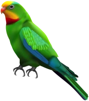 WEBP