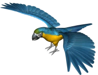 WEBP