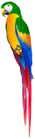 WEBP