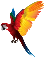 WEBP