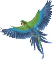 WEBP