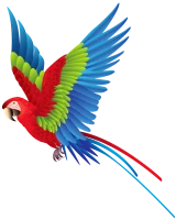 WEBP