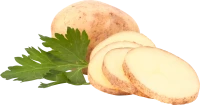WEBP