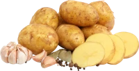 WEBP