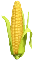 WEBP