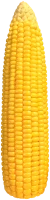 WEBP