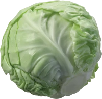 WEBP