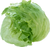 WEBP