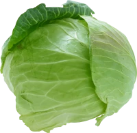 WEBP