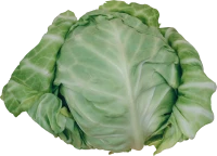 WEBP