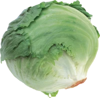 WEBP