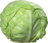 WEBP