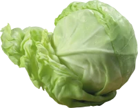 WEBP