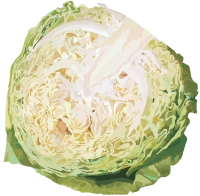 WEBP