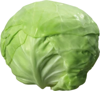 WEBP