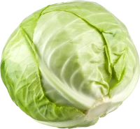 WEBP