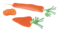 WEBP