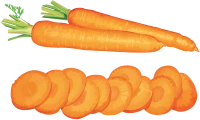 WEBP