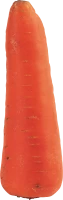 WEBP