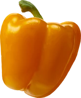 WEBP