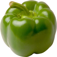 WEBP