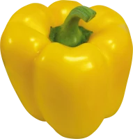 WEBP