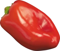 WEBP