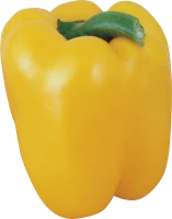 WEBP