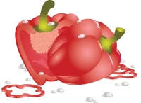 WEBP