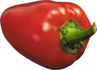 WEBP