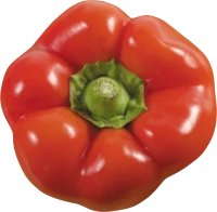 WEBP