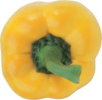WEBP