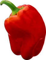 WEBP