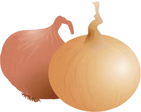WEBP