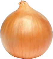 WEBP
