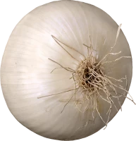 WEBP