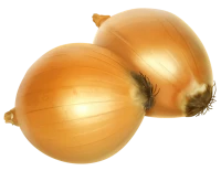 WEBP