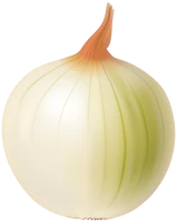 WEBP