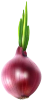 WEBP
