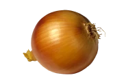 WEBP