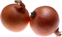 WEBP