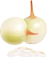 WEBP