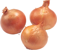 WEBP