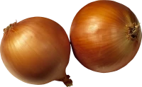 WEBP